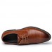 Men's Shoes Office & Career / Casual Leather Oxfords Black / Blue / Brown / Burgundy  
